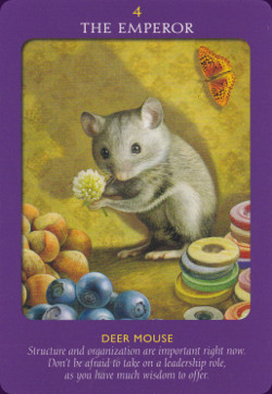 Animal-Tarot-Cards-3