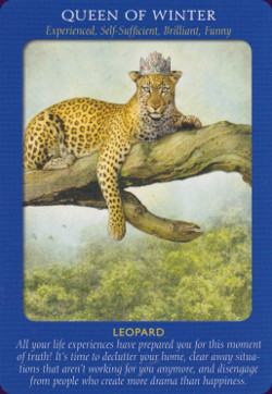 Animal-Tarot-Cards-8