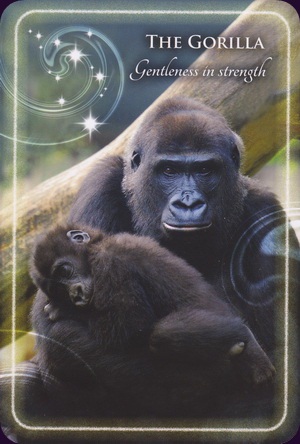 Animal-Whispers-Empowerment-Cards-5