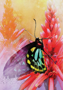 Butterfly-Affirmations-2