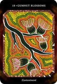 Dreamtime-Reading-Cards-4