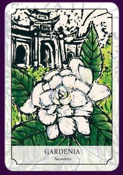 Flower-Reading-Cards-2