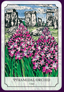 Flower-Reading-Cards-4