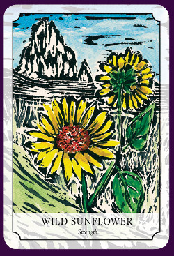 Flower-Reading-Cards-7