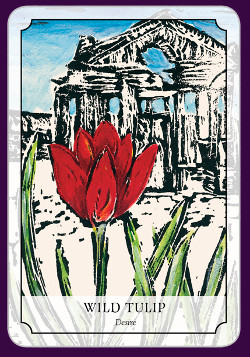 Flower-Reading-Cards-8
