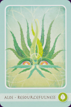 Herbal Healing Deck