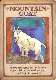 Messages from Your Animal Spirit Guides Reviews & Images | Aeclectic Tarot