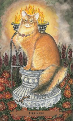 Mystical Cats Tarot Reviews & Images | Aeclectic Tarot
