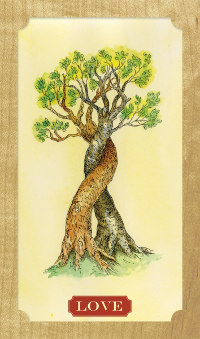 Tree-of-Life-Oracle-4
