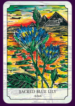 Flower Reading Cards Reviews & Images | Aeclectic Tarot